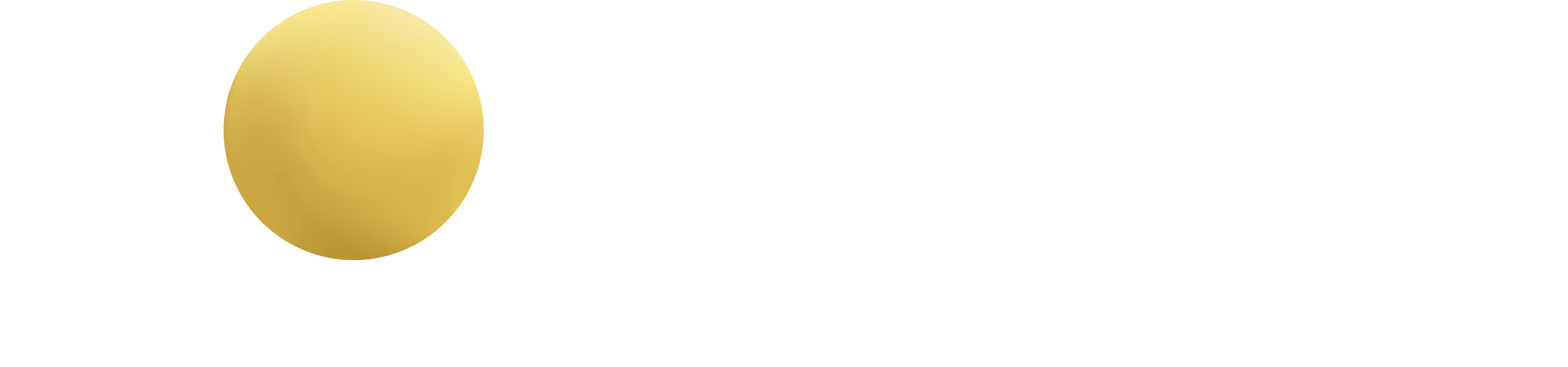 Kokstad logo